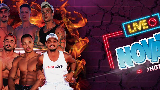 Live dos Novatos